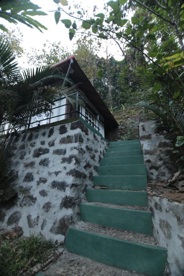 Vanilla County Heritage Plantation Bungalow Вагамон Екстер'єр фото