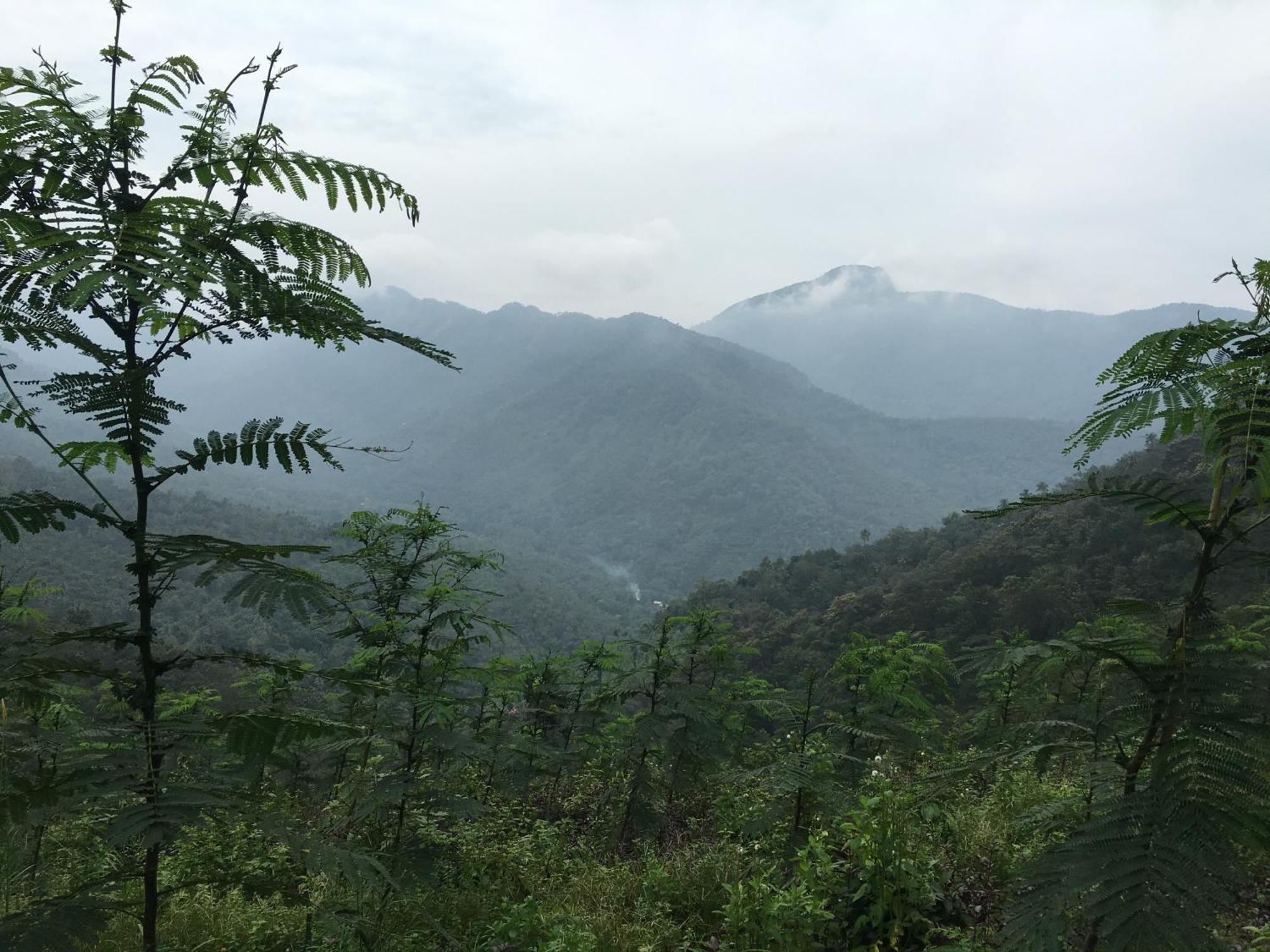 Vanilla County Вагамон Екстер'єр фото